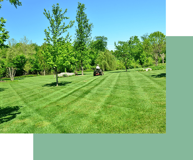 A person mowing a large, lush green lawn as part of residential landscaping on a sunny day.