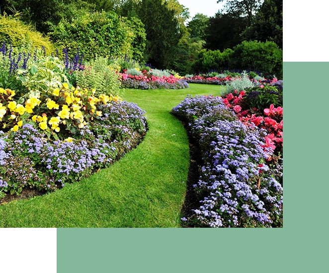 Commercial landscaping transforms the lush garden pathway, bordered by vibrant flower beds and greenery.
