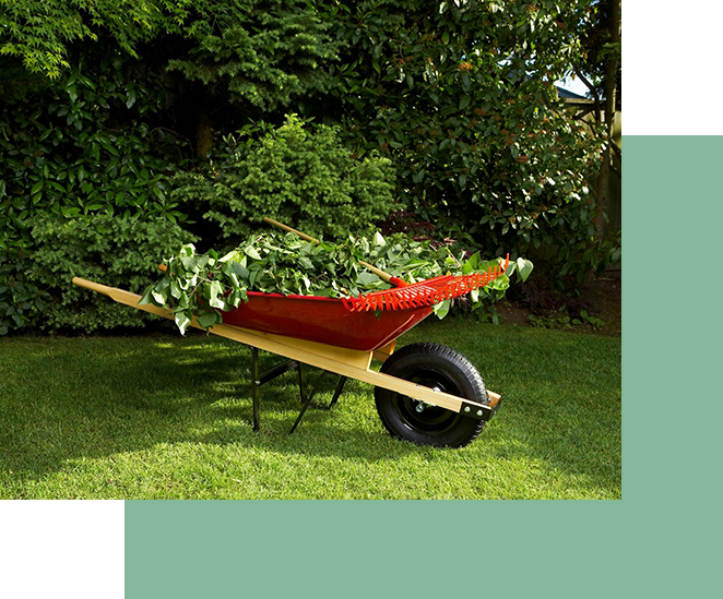 A wheelbarrow filled with cut branches sitting on a lush lawn, maintained by professional landscaping services.